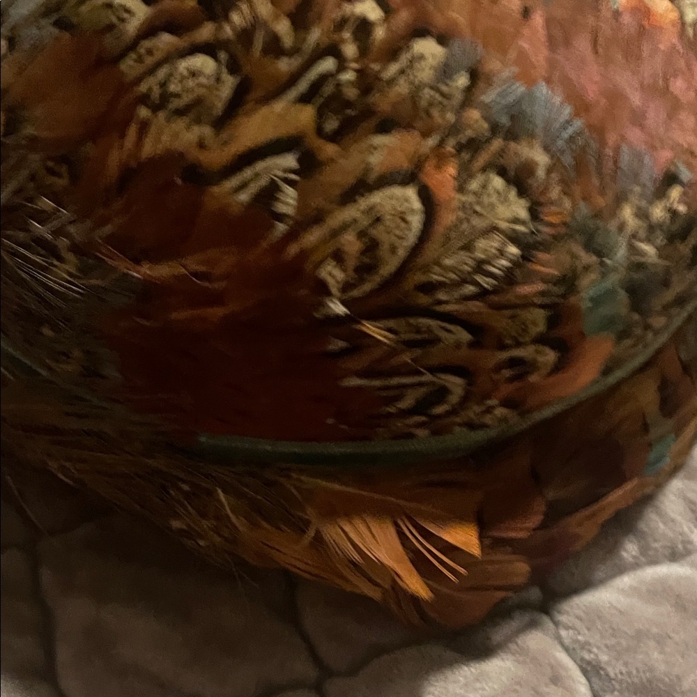 Feather Hat - Picture 9 of 15